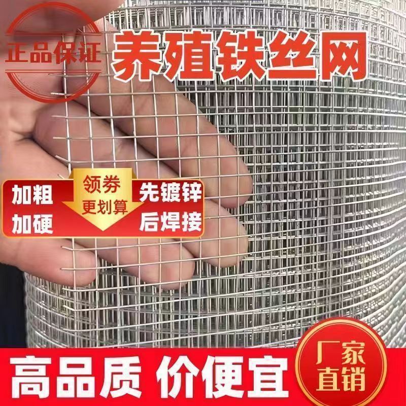 养殖网热镀锌钢丝网加粗超硬铁丝网养鸡鸭鹅封窗网防蛇鼠铁网格网