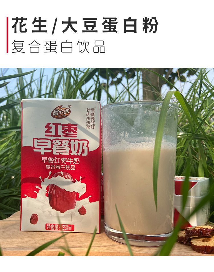 新鲜日期晨六润红枣枸杞牛奶饮品250ml24盒整箱礼盒营养早餐奶