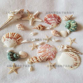 天然贝壳海螺海星材料包手工拍摄背景风铃漂流瓶鱼缸装饰套装