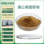 公斤比例水溶蒲公英提取物