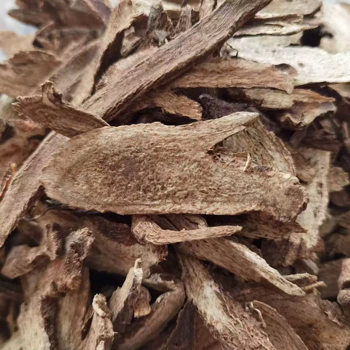 Mu Xiang (Aucklandia lappa) Dried Root Slices — Traditional Qi-Regulating Herb, 500g in use