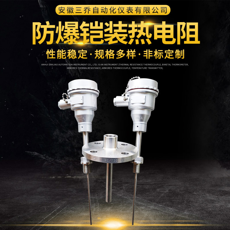 供应防爆铠装热电阻WZP-441 PT100 IP65 CT4 带热套式法兰套管