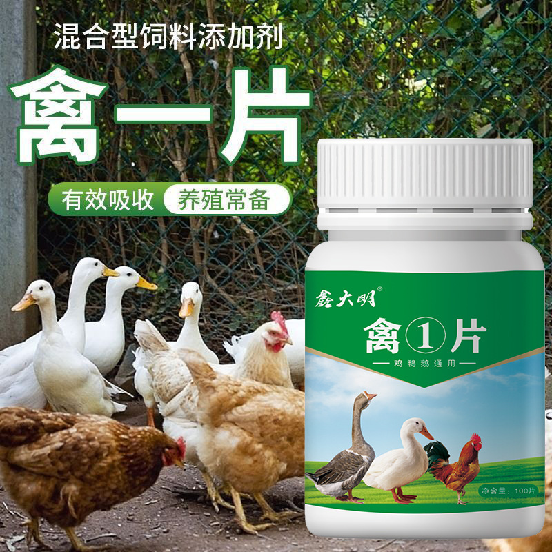 家禽① 家庭用腸の健康、呼吸器の健康、養鶏場での一般飼育、鶏、アヒル、ガチョウ、家禽製品|undefined