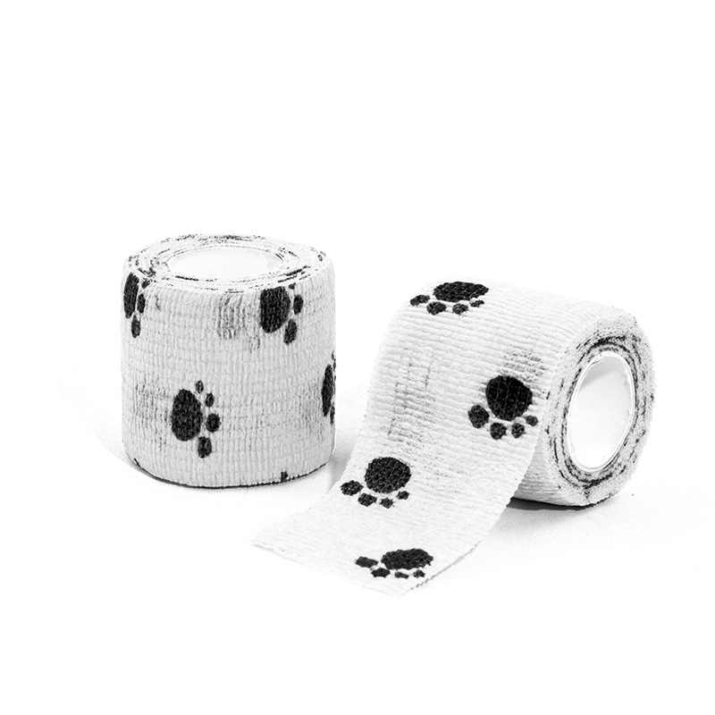 28 Garra negra sobre fondo blanco