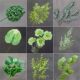 Green artificial flower decoration wedding hall flower outdoor flower green plant beautiful Chen layout loose tail sunflower Mori wedding