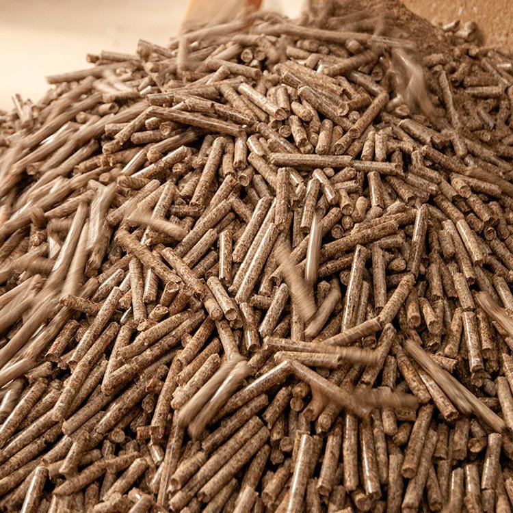 u=316574411,869283692&fm=1