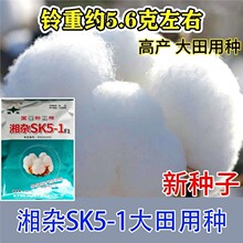 ���s�s�����x���޻��N�Ӹ߮a���x�޻��N����⏑Нh���ز�ǧ������