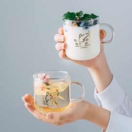 ins日式饮水杯带把耐热玻璃杯花茶杯办公室咖啡杯家用创意果汁杯