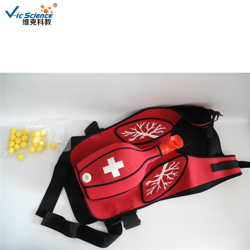 气管堵塞救生培训背心模型 海姆立克急救马甲 教学器材