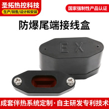电伴热带专用防水防爆尾端接线盒 尾端接线盒伴热带配件厂家供应