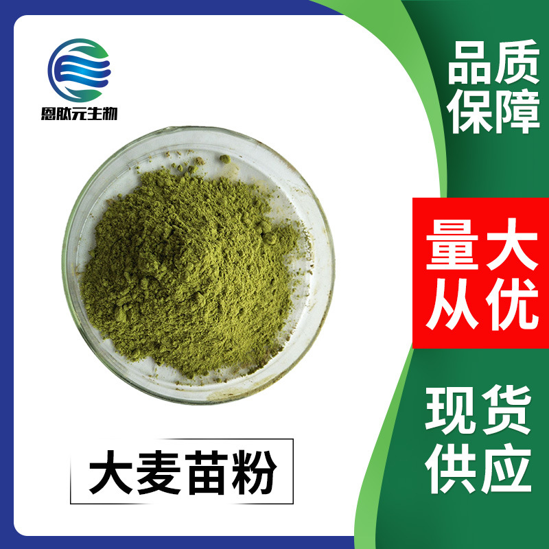 大麦苗粉 99%大麦苗叶粉  现货 1kg起批 量大从优大麦苗提取物粉