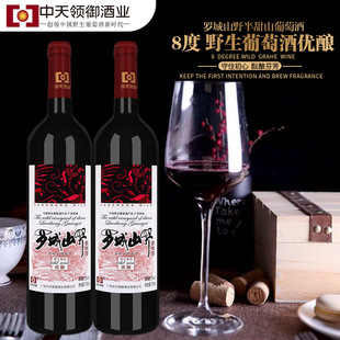�V���t���_��ɽҰ���Ѿ� ���a�t������ 8�ȃ�����Ѿ����� ��t��