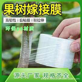 果树嫁膜封口膜透明自粘无需打结薄膜园林农用塑料PE缠绕膜批发