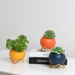 北歐莫蘭迪風格異形電鍍鐵架陶瓷多肉仿真花盆栽客戶餐廳裝飾擺件