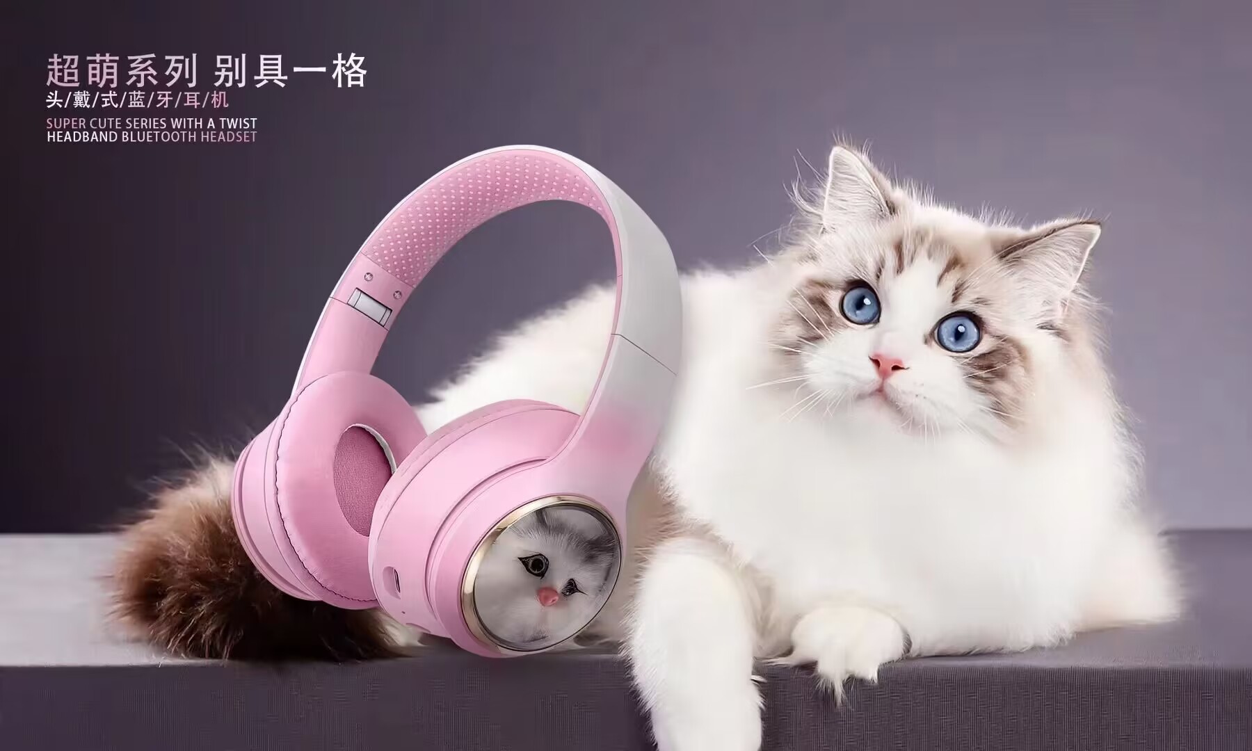 45E049DA86778A9ED34411F5FF4693