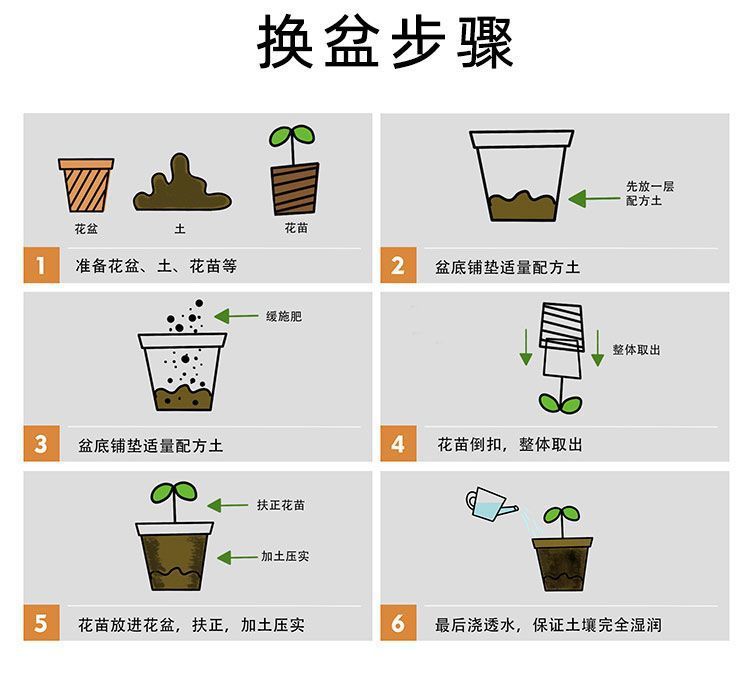 5dc49e04-548e-48a9-89a3-2352fe90ae49.jpe