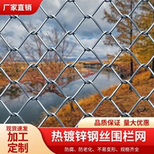 镀锌铁丝网围栏网防护网勾花网钢丝网养殖牛羊猪栏网果园栅栏护栏
