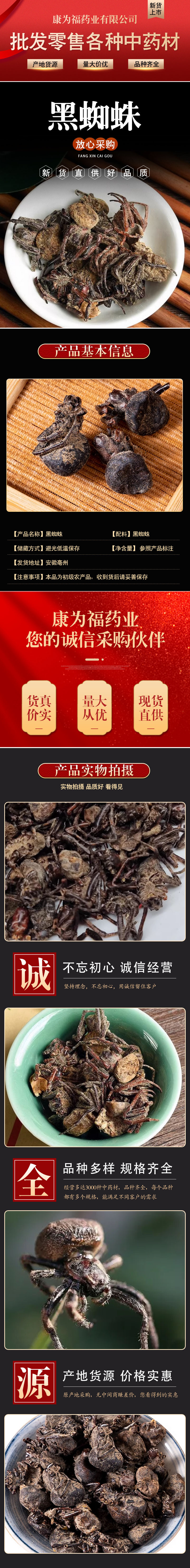 Black Spider (花蜘蛛) Dried Whole Herb — Traditional Chinese Medicinal Material, 500g overview