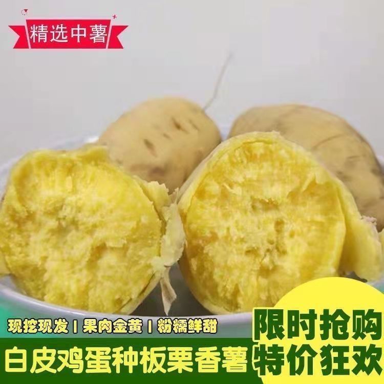 adcae2f7-0e66-4188-ab8a-18ab8d553e23.jpe