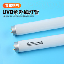 UVB313窄谱中波紫外线灯管 T12-40W