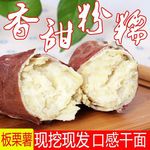 板栗薯红薯2斤四川香薯现挖地瓜批发粉面沙地白心蜜薯番薯厂