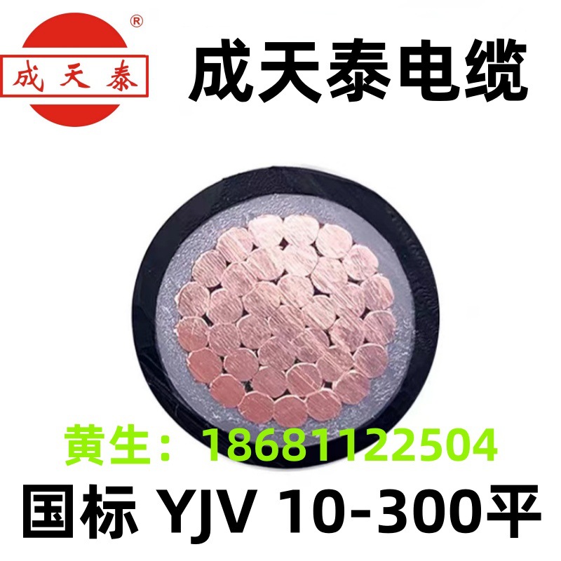 深圳成天泰电线电缆VV/BVV1*185平方阻燃双胶纯铜国标正品ZC-YJV