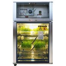 �N�Ӵ�ѿ�� 68S�Ͱlѿ�� ��ѿ�lѿ�C �������B�� �a��������a��