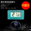 Built-in diving thermometer - with suction cup