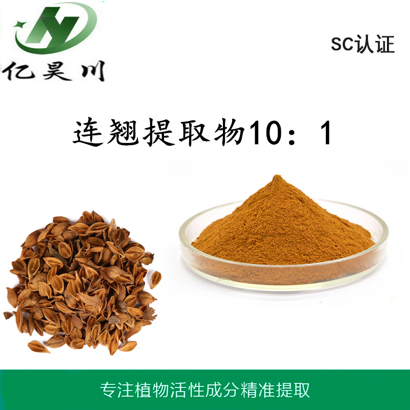 连翘提取物10:1 全水溶连翘粉 连翘苷提取物厂家现货量大从优