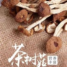 茶树菇干货农家无硫不开伞茶树菇干茶树菇古田特产年货批发煲汤