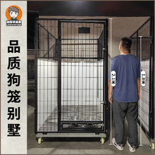 ���͌��ﹷ�\�҃ȹ��e���д���Ȯ���\�Ӹ߼���ˮȮ���ش󹷷���