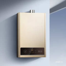 燃气热水器天然气液化煤气款家用二级13/16升恒温速热热水器