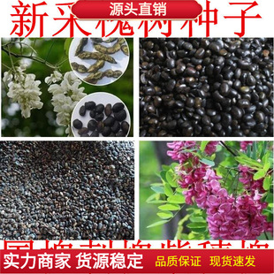 �²ɇ����N������������N���S�����t�����̻��N�����뻱�̻�����