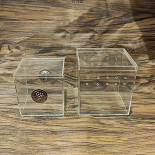 Transparent Pet Feeding Box with Holes Square Acrylic Plastic Reptile Spider Turtle Horned Frog Landscape Feeding Box