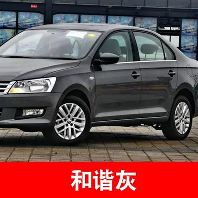 Passat Xuanwu Black Touguan | Avtomobil boya qələmləri - harmonious-gray