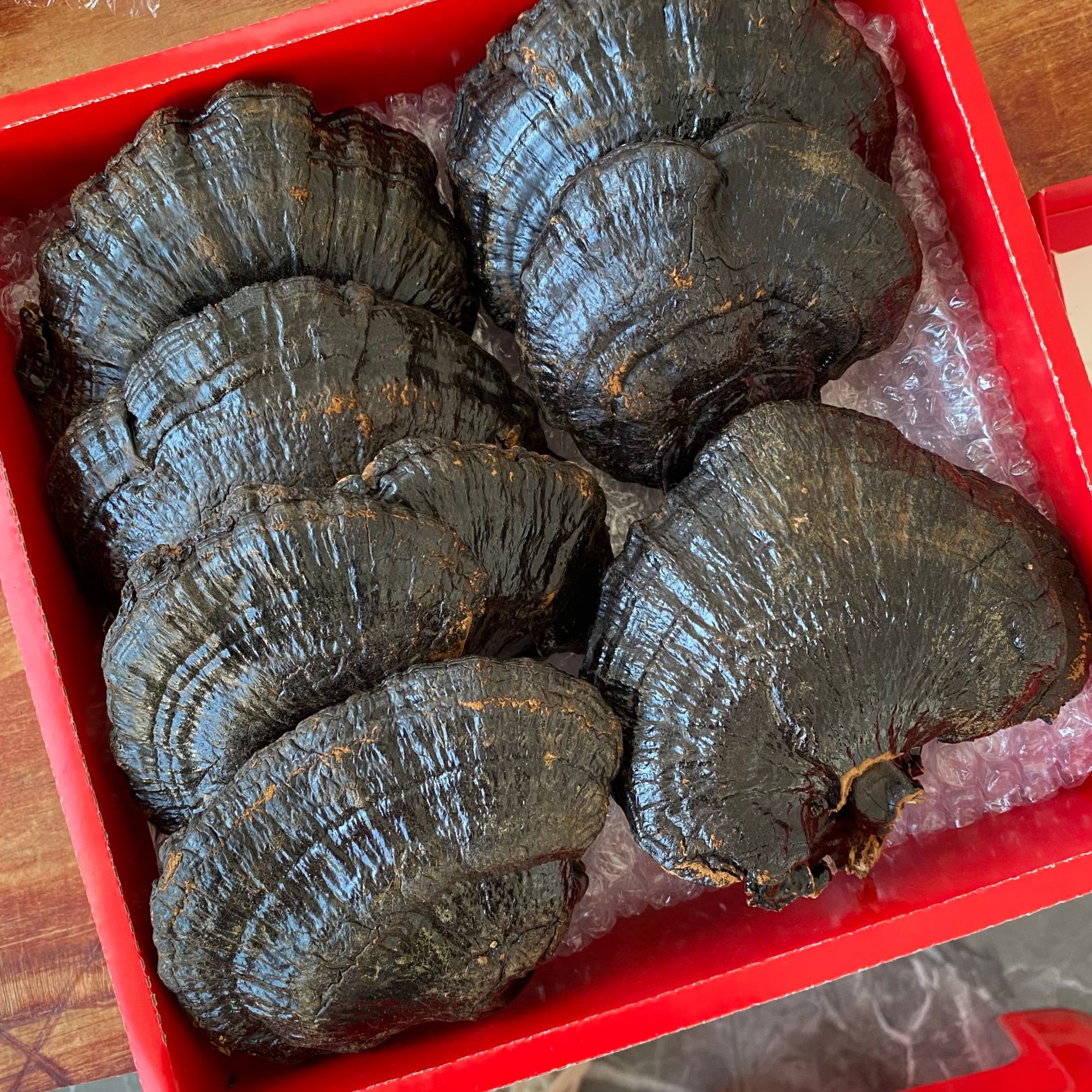 A gift box of wild reishi mushroom, 250g, 5-8 pieces (can be sliced), suitable for self-use or as a gift during the Chinese New Year, whole reishi mushroom