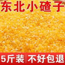 小碴子东北玉米渣大碴玉米碎棒子碴苞米茬子玉米糁玉米粥散装