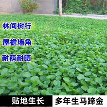 һ�����l����������ݱ�ֲ���R���N�Ә��Р�߅�Nֲ���a���N����