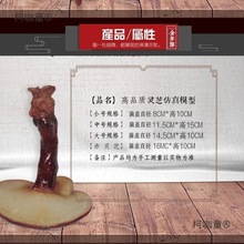 `֥ģͼ`֥[ߵܷĢҰʳģͷ̫