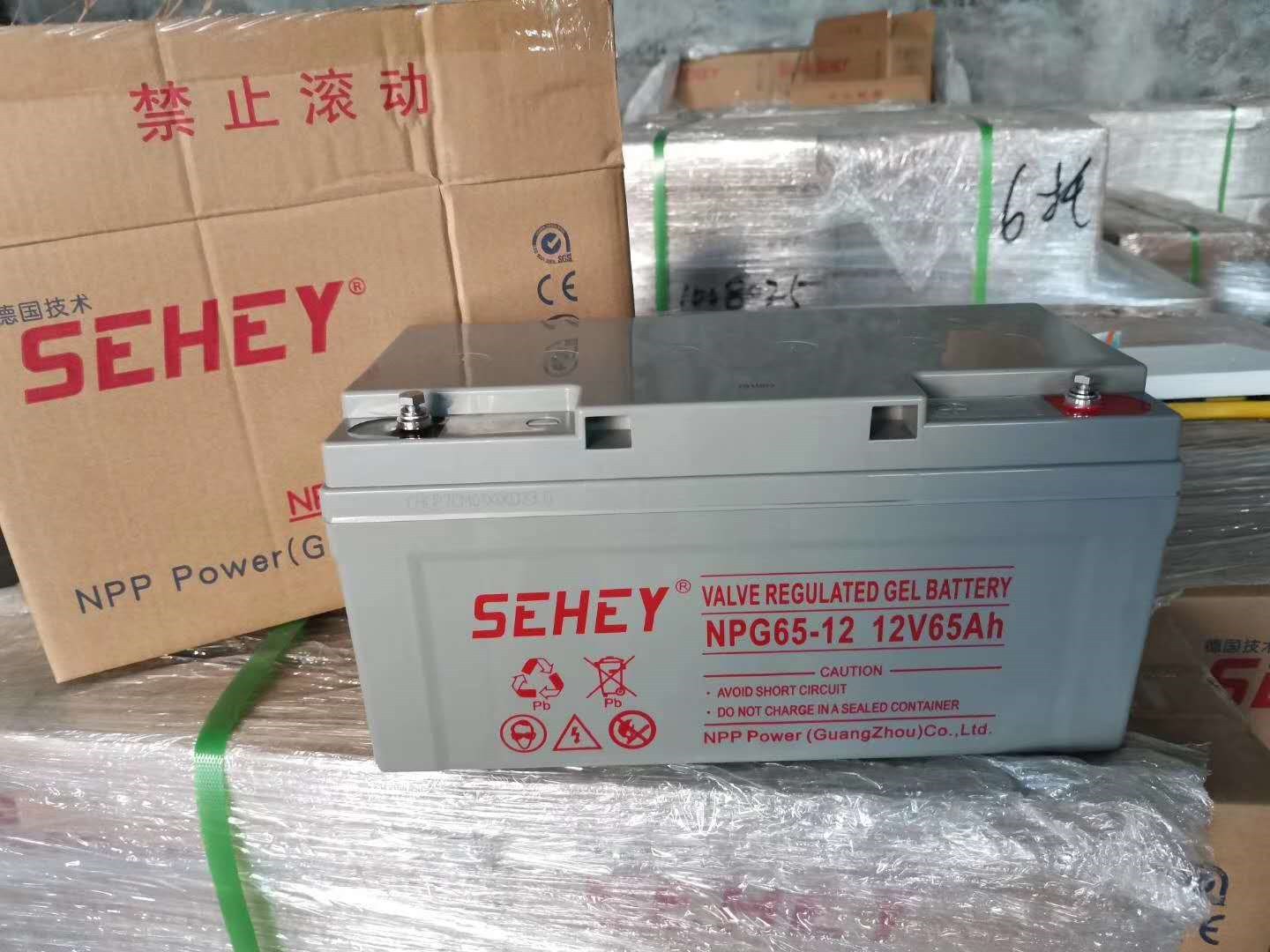 西力蓄电池12V65aH SEHEY NP65-12 UPS 免维护蓄电池 太阳能