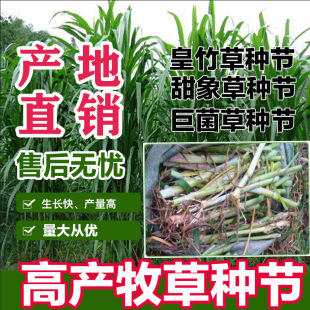 ���ͻ���ݷN���ļ����������ݷN��̨��������ӷN�t��ݷN���N��