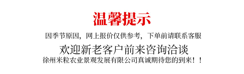 O1CN01FKhFyS1KaU3OVgYX0_!!2747