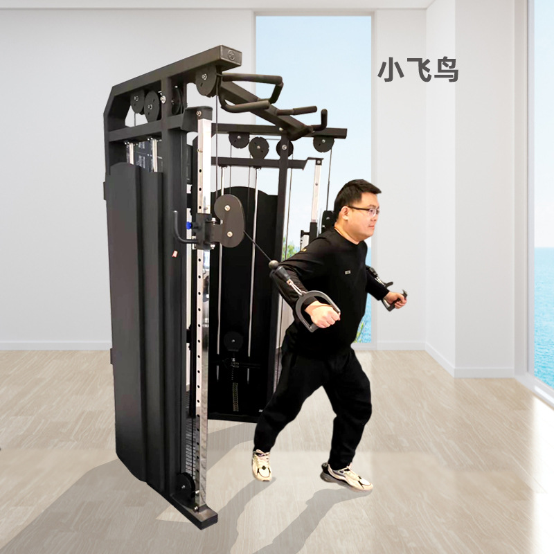 Equipo de ejercicios comerciales gimnasio femenino alto y bajo pullback muslos internos y externos pequeños pájaros equipos de entrenamiento de fuerza