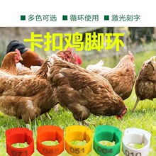 �u�_�h����ʽ�u���_�h�_Ȧӛ̖�R�e�h�u���Z������_�h�_Ȧ�˺�