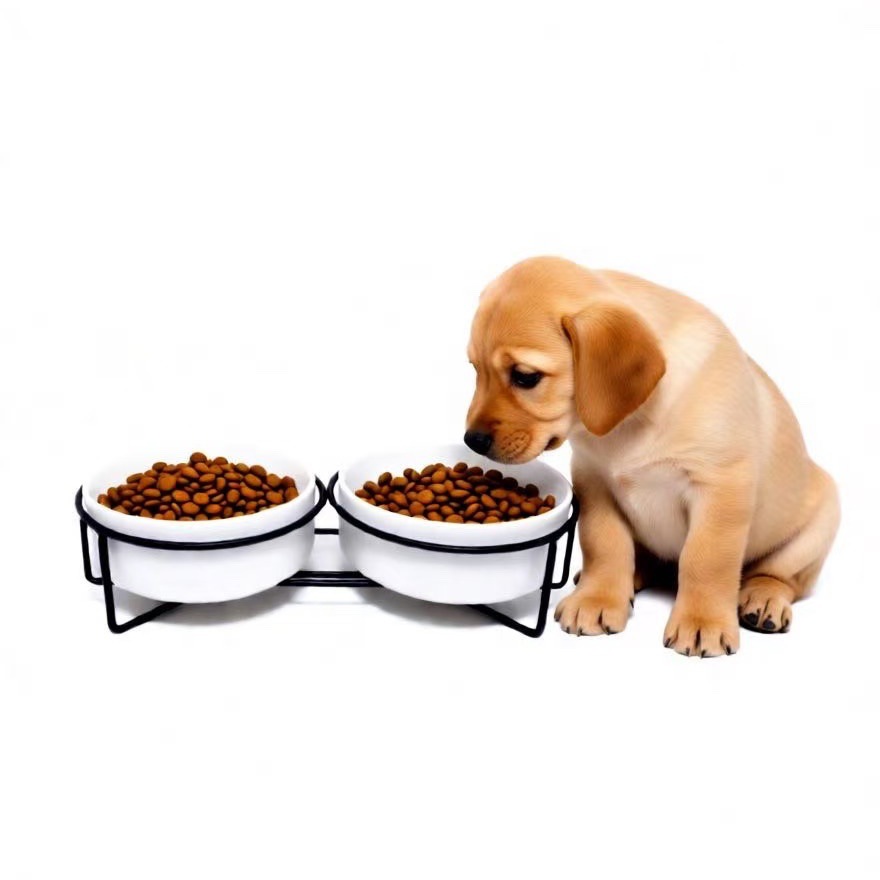 Tacos de cerámica para gatos Tacos de comida para perros Tacos de agua Tacos de grano Tacos de cerámica negra Tacos para mascotas Tacos para gatos