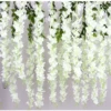 6 leaves pure white