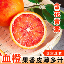塔罗科血橙麻阳果冻橙子新鲜水果当季冰糖手剥多汁橙子整箱批发