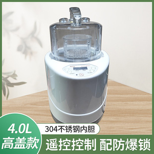 In-Stock 4L High-Capacity Steamer for Home Health Care Sauna Steam Machine Sweating Steamer Steamer