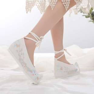 Frost Feather Embroidered Shoes Ancient Style Shoes for Women Hanfu Shoes Versatile Elegant Retro Chinese Style Soft Sole Upturned Toe Hanfu Shoes