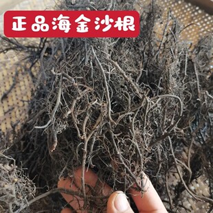 ����ɳ�� ��ș�� �F��� �F�z�� �F�_����50-500��